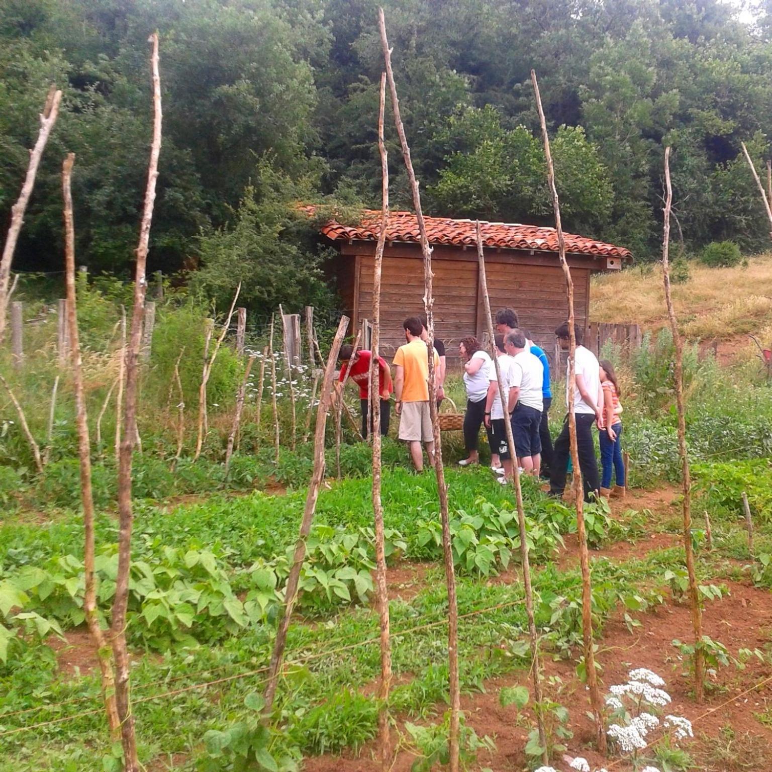 Agroturismo Mari Cruz Villanueva de Arce Kültér fotó